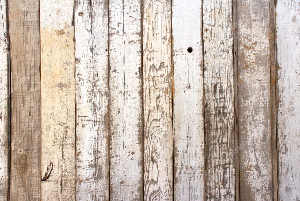 Ancient wood with cracked paint of white color
