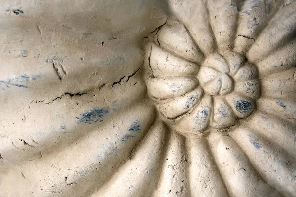 Detail of carved stone ornament with ammonite shell — Stock Photo, Image