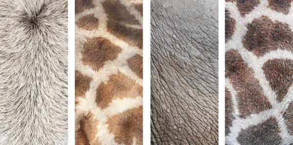 Set of vertical banners with texture of animal skin