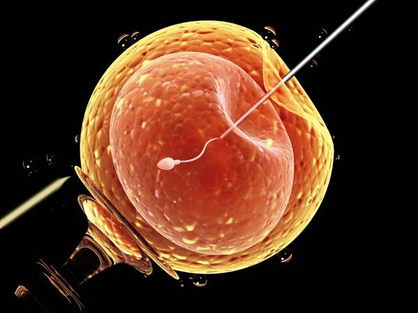 Artificial insemination. Needle puncture the cell membrane — Stock Photo, Image