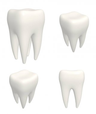 İnsan teeths 3d modelleri kümesi. Farklı açılardan görüntüleme