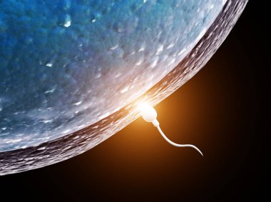 spermatozoon ovule için yüzer,