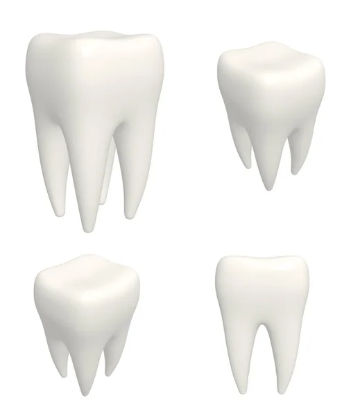Conjunto de modelos 3D de dientes humanos. Vista desde diferentes ángulos — Foto de Stock