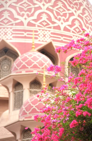 Bougainvillea florescente e mesquita rosa, Kuala Lumpur, Malásia — Fotografia de Stock