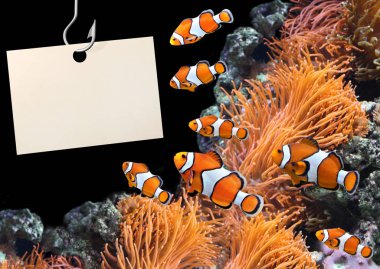 Palyaço balık ve balıkçılık dügmesinin üstünde boş kağıdın