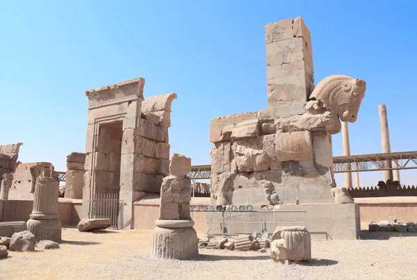 Statua in pietra di toro a Persepolis, Iran — Foto Stock