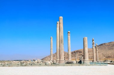Apadana Sarayı, Persepolis, İran Sütunları