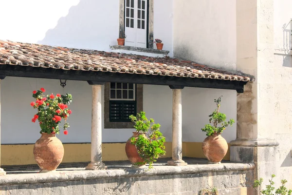 Rostliny v hliněných džbánech na terase, Obidos, Portugalsko — Stock fotografie