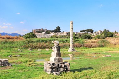 Artemis Efes Tapınağı sütun ve kalıntıları, Selçuk, Türkiye