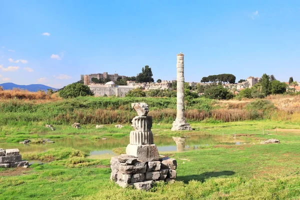 Колонна и руины храма Артемиды Эфесской, Сельчук, Турция — стоковое фото