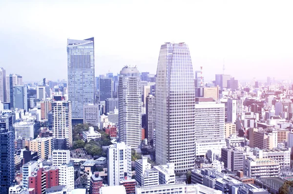 Letecký pohled na Tokio, Japonsko — Stock fotografie