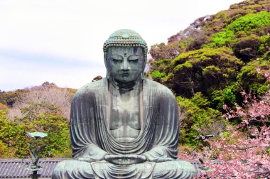 Büyük Buda ve Sakura çiçekleri, Kotoku-in Temple, Japonya
