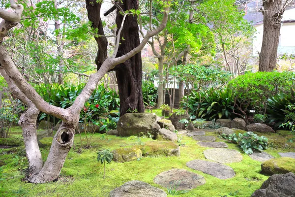 Hokokuji tapınağındaki dekoratif bahçe, Kamakura, Japonya — Stok fotoğraf