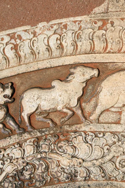 Detail of ornaments with asian ox on moonstone, Anuradhapura, Sr — Stock Photo, Image