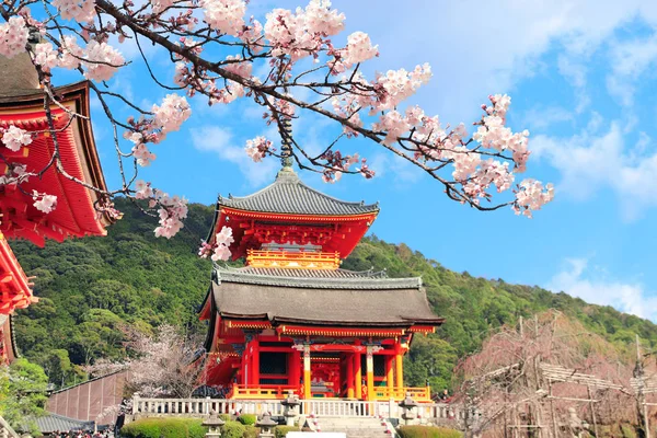Kiyomizu-dera Tapınağı ve sakura çiçekleri, Kyoto, Japonya — Stok fotoğraf