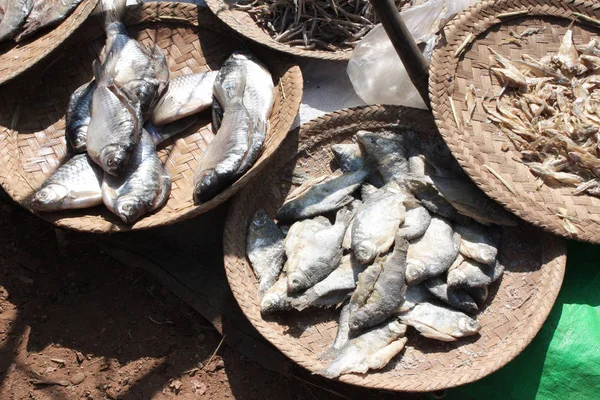 Pesce salato e crudo sul mercato del mattino, Rangoon / Myanmar — Foto Stock