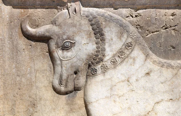 Bas-relief bull head, Shiraz, Iran — Zdjęcie stockowe