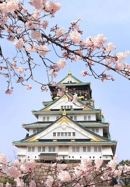 Oddział kwitnącej sakury i zamku w Osace, Japonia — Zdjęcie stockowe