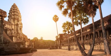 Angkor Wat, Kamboçya 'daki tapınak ve palmiye kalıntıları.
