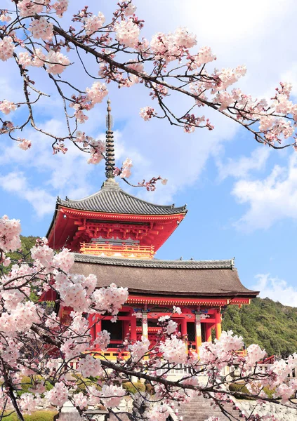 Kiyomizu-dera Chrám a sakura květiny, Kjóto, Japonsko — Stock fotografie