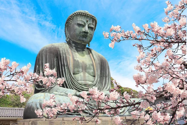 Il grande Buddha e i fiori di sakura, tempio di Kotoku-in, Giappone — Foto Stock