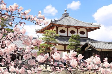Itsukushima Tapınağı 'ndaki Pavilion ve Sakura çiçek dalları, Miya