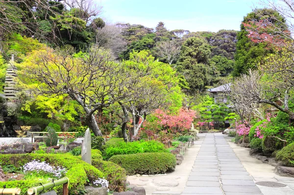 Passo a passo no jardim japonês tradicional, Kamakura, Japão — Fotografia de Stock