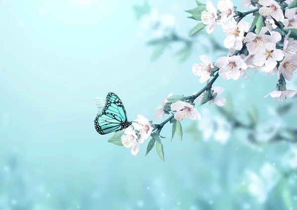 Beautiful magic spring scene with cherry flowers and butterfly — ストック写真