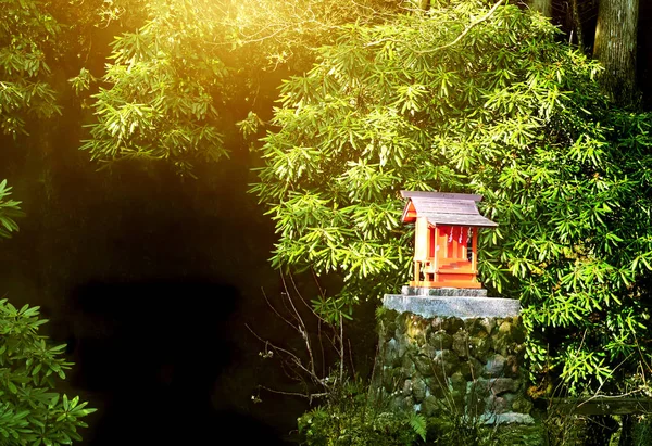 Malý shinto oltář v ranním lese, Japonsko — Stock fotografie