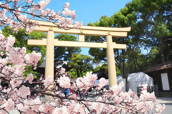 Torii-gate and blooming sakura branch in Meiji Jingu, Tokyo, Jap — ストック写真