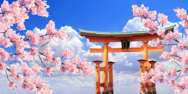 Pembe çiçekli ve yüzen Torii kapılı sakura dalları, Itsukushima Tapınağı, Miyajima Adası, Hiroşima Bölgesi. Japonya 'da bahar kiraz çiçeği mevsimi