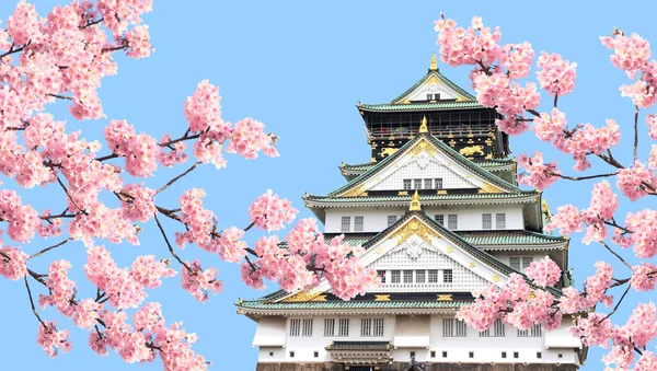 Çiçek Açan Sakura Nın Pembe Çiçekli Dalı Japonya Daki Osaka — Stok fotoğraf