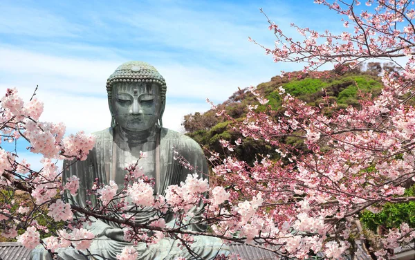 Great Buddha Bloemen Van Sakura Kotoku Tempel Japan Azië Kersenbloeitijd — Stockfoto