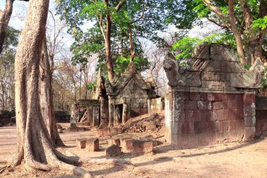 Prasat Thom kompleksindeki Prasat Krachap harabesi, Kamboçya. Unesco Dünya Mirası Bölgesi