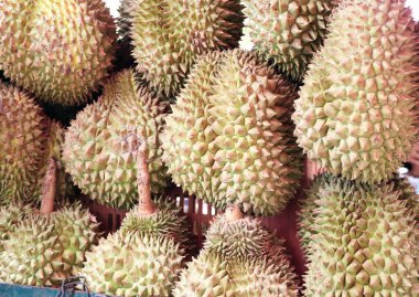 Markette olgun durian meyveleri, Kamboçya