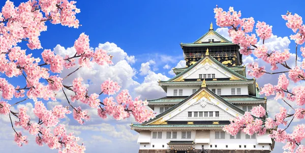 Çiçek Açan Sakura Nın Pembe Çiçekli Dalı Japonya Daki Osaka — Stok fotoğraf
