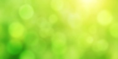 Yeşil rengin bulanık arkaplanı. Bokeh soyut ışıkla yatay ya da dikey pankart. Metin için alanı kopyala