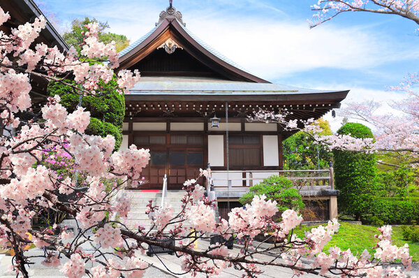Ancient pavilions and flowering sakura in Hokokuji temple, Kamakura, Japan