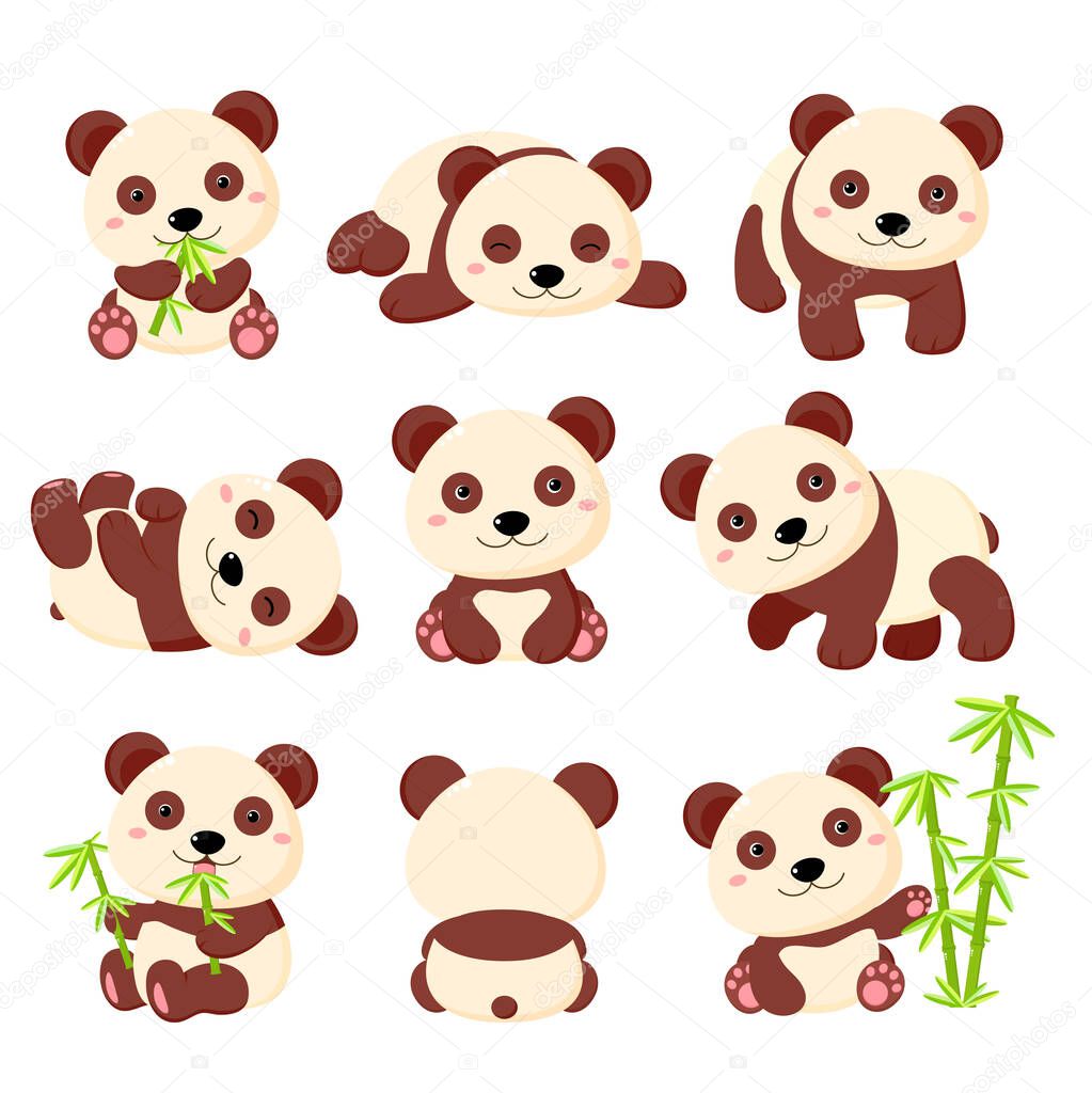 Set of cute cartoon panda in various poses. Isolated on white background. Collection of funny pandas -  eating, sitting, sleeping, with bamboo. Vector illustration EPS8
