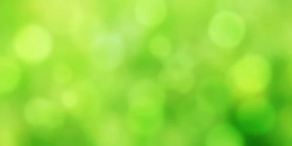 Fondo Borroso Color Verde Banner Horizontal Vertical Con Luz Abstracta —  Fotos de Stock