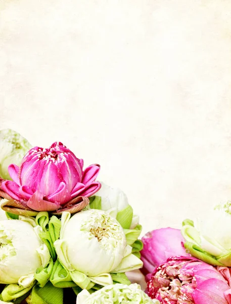 Вертикальний Гранж Старою Паперовою Текстурою Квітковими Подарунками Лотоса Білого Фіолетового — стокове фото