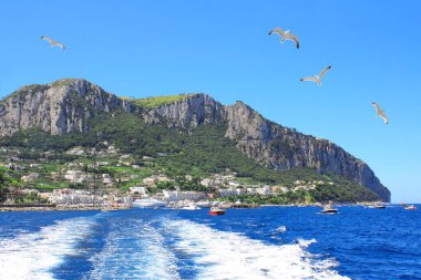 Martılar Capri Adası, İtalya, Avrupa yakınlarında. Tyrhenian denizinin manzarası. Yaz günü