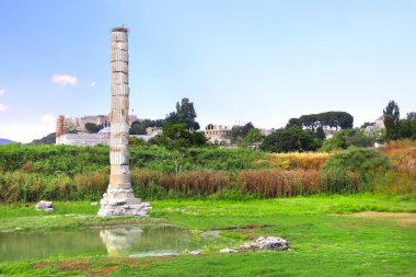 Antik dünyanın yedi harikasından biri olan Artemis Efes Tapınağı sütun ve kalıntıları, Selçuk, Türkiye