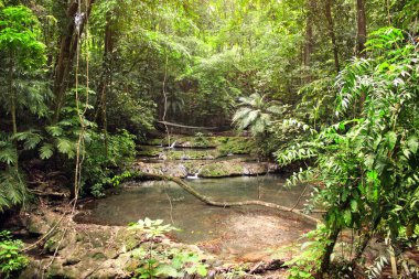 Palenque harabelerinde orman ve küçük şelale, Kolomb öncesi Maya uygarlığı, Chiapas, Meksika. UNESCO dünya mirası sahası