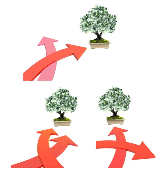 带有欧元和两个箭头的货币树 指定了不同的方向 经济和金融概念 两条路 通往空虚和通往财富与繁荣 被白色背景隔离 3D渲染 — 图库照片