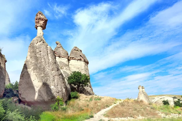 Μανιτάρια Fairy Chimney Multihead Stone Στην Κοιλάδα Pasabag Καππαδοκία Ανατολία — Φωτογραφία Αρχείου