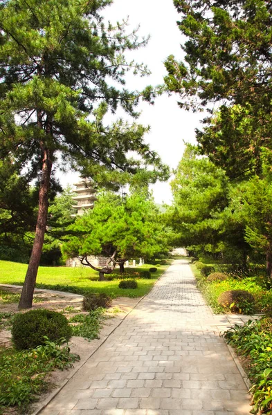 Antigua Pagoda Budista Piedra Pino Pavimentación Jardín Ornamental Kesson Corea — Foto de Stock