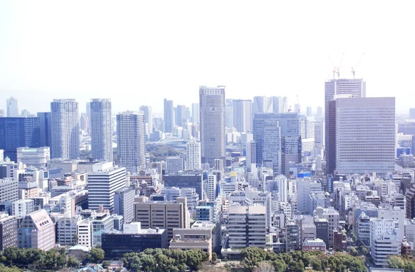 Letecký Pohled Tokio Hlavní Město Japonska Asie Pohled Tokijské Věže — Stock fotografie