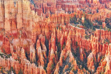 Kırmızı kumtaşı hoodoos Bryce Canyon Milli Parkı'nda Utah, ABD
