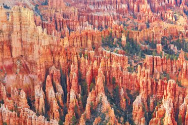 Kırmızı kumtaşı hoodoos Bryce Canyon Milli Parkı'nda Utah, ABD